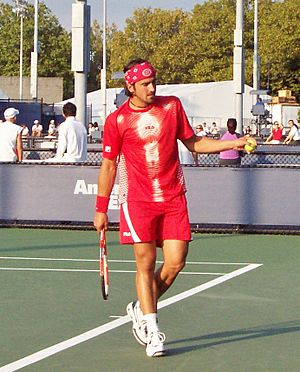 Tipsarevic 2004 US Open