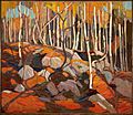 Tom Thomson The Birch Grove, Autumn
