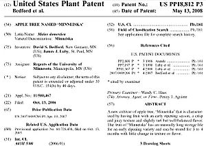 U. S. Patent US PP18,812 P3