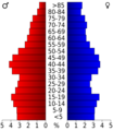 USA Reno County, Kansas age pyramid