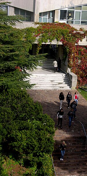 Università di Trieste - Facoltà di ingegneria