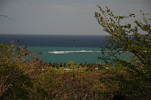 View of the Caribbean Sea from Indios