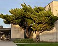 Walgrove Avenue School 1630 Walgrove Ave. Los Angeles, CA 90066-2299