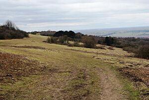 Watlington Hill - geograph.org.uk - 1206593