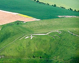 White horse from air
