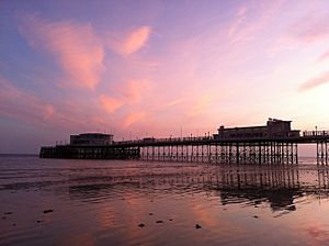 Worthing Pier at sunset, low tide.JPG