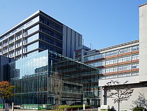 141122 Shimonoseki City Hall Yamaguchi pref Japan01s3