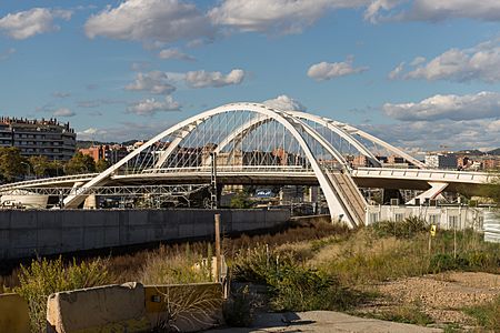 15-10-28-Pont Bac de Roda Barcelona-RalfR-WMA 3107