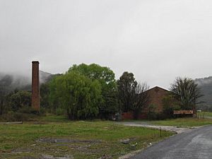 78 - Lithgow Valley Colliery & Pottery Site (5045511b1).jpg