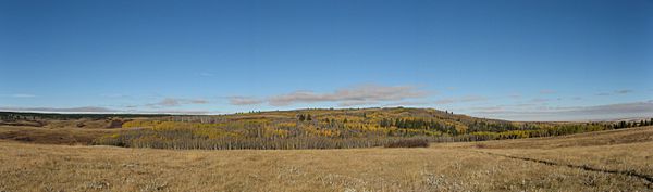 A panorama of Cypress Hills