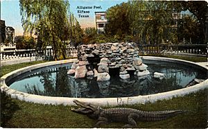 Alligator Pool, El Paso, Texas
