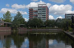Amstelveen, plas bij restaurant Kokusai foto12 2015-08-28 12.30