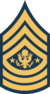 Army-USA-OR-09a.svg