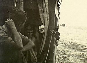 Australian corvettes at sea off Papua in 1942 (AWM 041250)