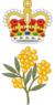Badge of the Governor-General of Australia (St Edward's Crown).svg