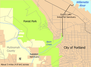 Balch Creek in Portland, Oregon, flows through the Audubon Sanctuary and part of Forest Park, then through a storm sewer under Guild's Lake Industrial Sanctuary before entering the Willamette River.