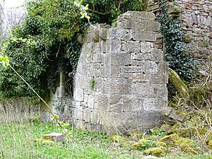 Blacksyke Tower side building, Caprington, East Ayrshire