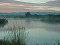 Blanca Wetlands Area of Critical Environmental Concern, Colorado (15476264730)