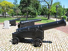 Cannons on the Common - Cambridge, MA