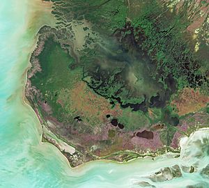 Cape Sable by Sentinel-2.jpg