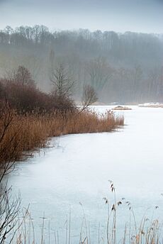Cartigny - Moulin-de-Vert - Frozen Lake