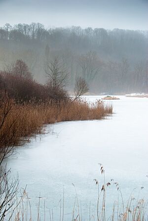 Cartigny - Moulin-de-Vert - Frozen Lake