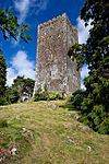 Castles of Munster, Conna, Cork - geograph.org.uk - 1392983.jpg