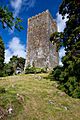 Castles of Munster, Conna, Cork - geograph.org.uk - 1392983