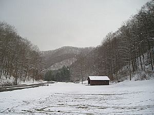 ChiefLoganPark-winter