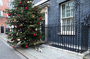 Christmas 2019 Downing Street Decoration (3)