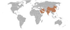 Countries that do not celebrate New Year’s Day on 1st January