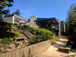 Creswell Crags Museum And Heritage Centre (11)