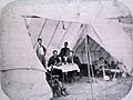 D. Willard and Zenas E. Bliss