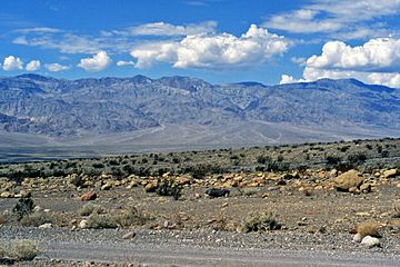 Death Valley & Cottonwood Mountains & alluvial fans (bajada) (Death Valley National Park, California, USA) (31871104718).jpg