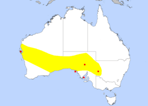 Distribution Map Leporillus conditor AUS (2).png
