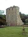 Drumin Castle - geograph.org.uk - 454276