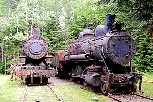Eagle Lake and West Branch locomotives