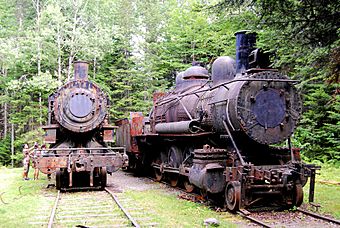 Eagle Lake and West Branch locomotives.jpg