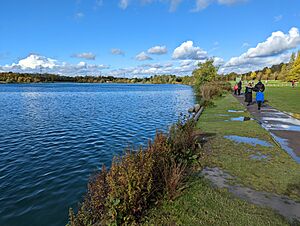 East of the lake at Rother Valley Country Park (geograph 7049522)