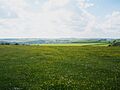 Eastbury Down, Eastbury, Berkshire