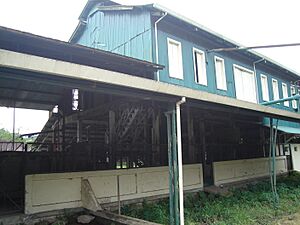 El Beneficio Antiguo de Cafe, Pejibaye