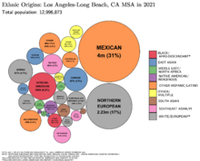 Ethnic Origins in the Los Angeles MSA