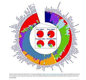 Eurasian genetic ancestry components (K8)