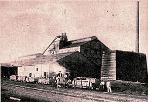 Quebracho extract factory La Chaqueña S.A. in Villa Ángela