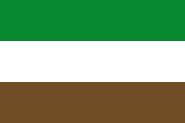 Flag of Arauquita (Arauca)