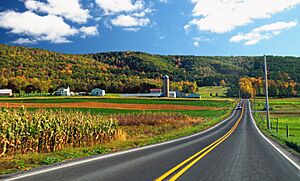 Flickr - Nicholas T - Country Drive