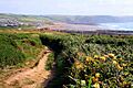 Footpath to Widemouth Bay - geograph.org.uk - 1460008