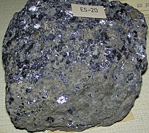 Galena in dolostone (Bonneterre Dolomite, Upper Cambrian; Flat Rock, Old Lead Belt, Missouri, USA) 2 (40704497164).jpg