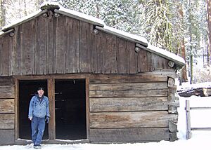 Gamlin Cabin