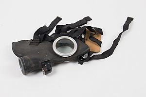 Gas mask (AM 2006.32.24-2)